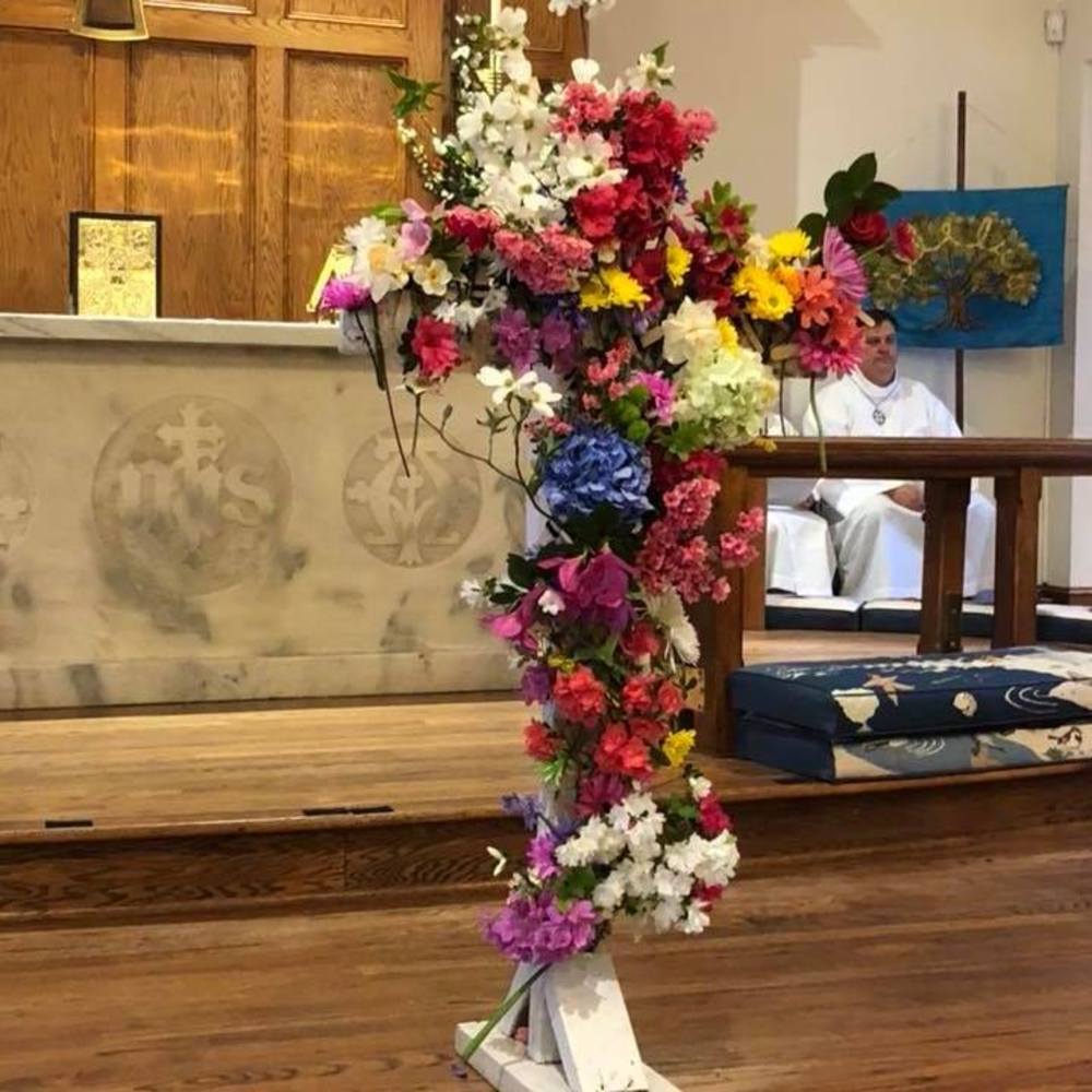 Meet your Posher, Ann